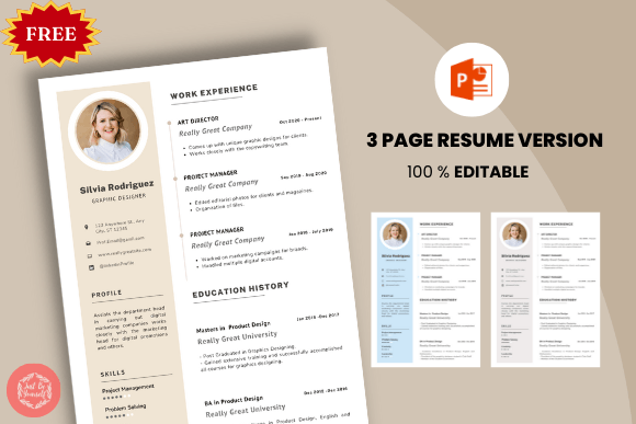 Download FREE Professional Resume Templates - Free professional resume Collection